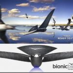 в 2015 году, вы можете получить принципиально новое устройство такого рода - искусственная птица Bionic Bird, которая принимает принцип полета реальной птицы.