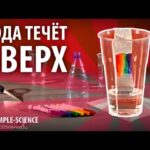 Очень интересные физические опыты, топ 10: 1. Вода течет вверх; 2. Благодаря ложке, кружка не разбивается;